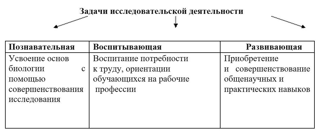 ывыап5паент